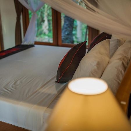 Abimana Ubud Екстер'єр фото
